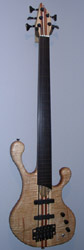 #12-99  fretless 5